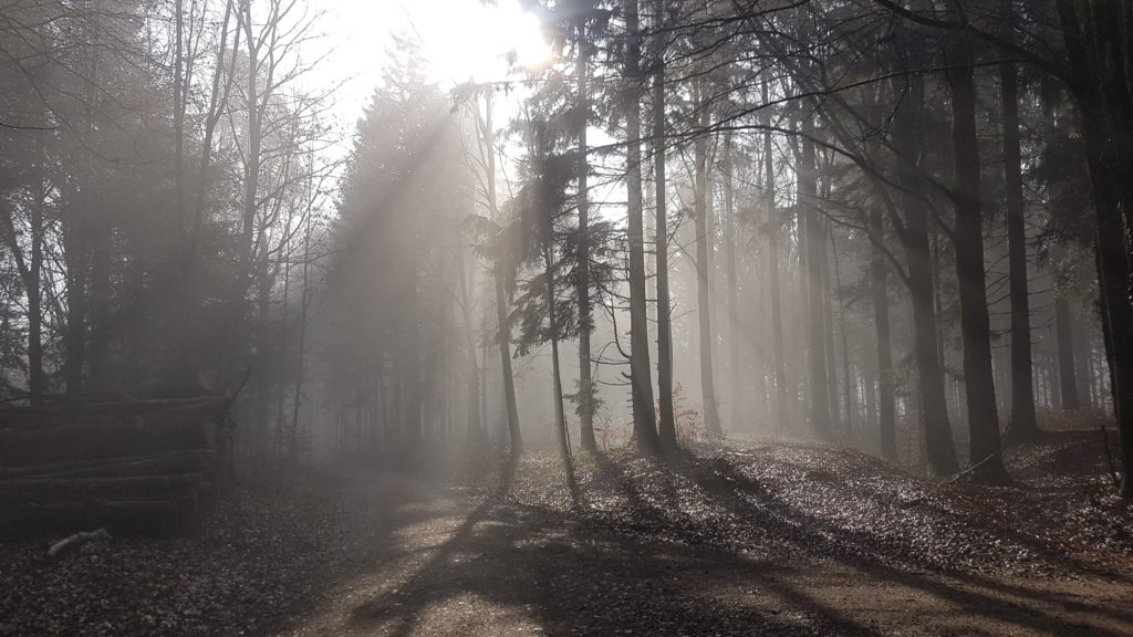 Nebel bei Falleren, Rüttenen